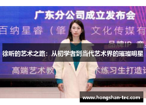 徐昕的艺术之路：从初学者到当代艺术界的璀璨明星